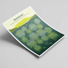 Cascadia Seaweed Infographic_Thom Klos Creative