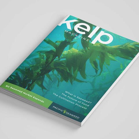 Kelp Magazine Concept