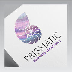 Prismatic Business Solutions_Thom Klos Creative